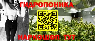 гашик Изобильный