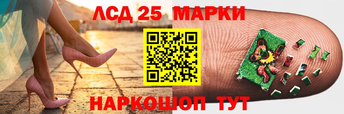 блэк спрут вход  LSD-25 экстази ecstasy  Вход с VPN  ЛСД экстази  Кузнецк  Лсд 25 экстази ecstasy 