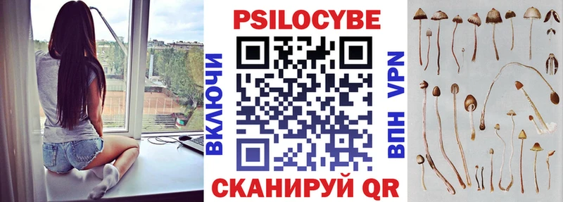 Галлюциногенные грибы Psilocybe  Кузнецк 