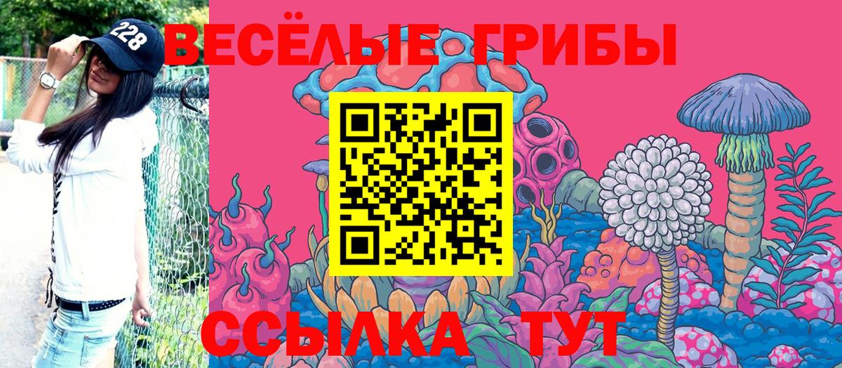 Галлюциногенные грибы Cubensis Кузнецк