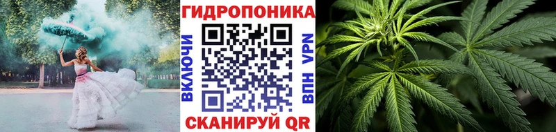 Каннабис марихуана  OMG онион  Кузнецк 