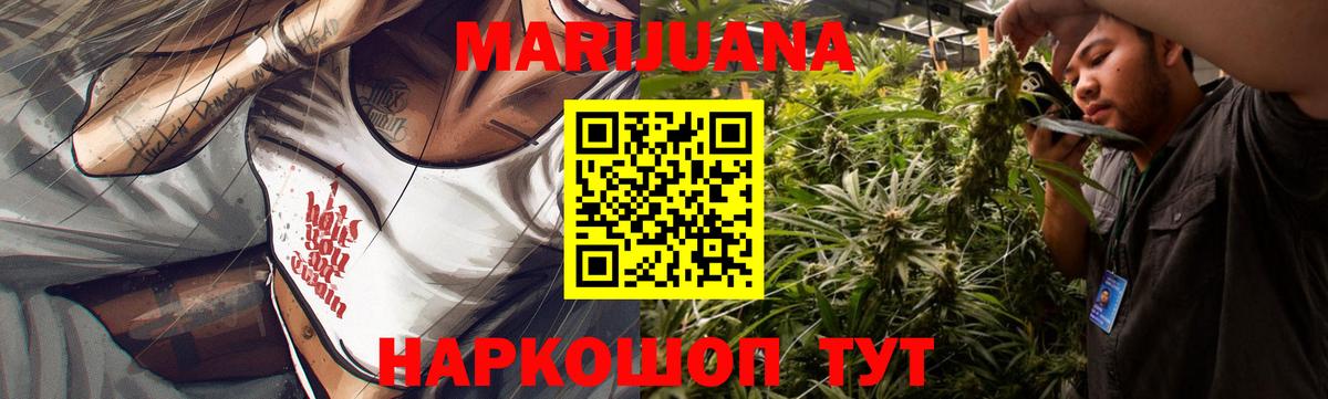 Конопля план  Конопля тримм  Марихуана тримм  Вход с VPN  Кузнецк 